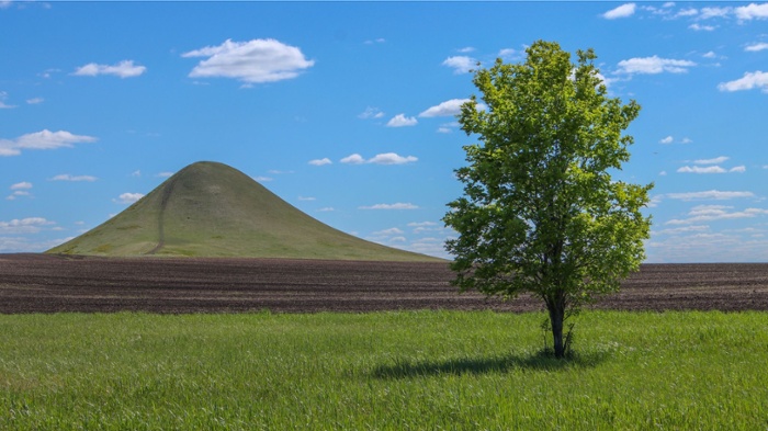 Vacant Land